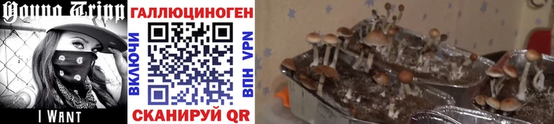 Галлюциногенные грибы мухоморы Купить Туймазы